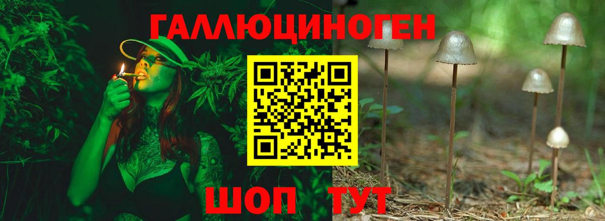 Псилоцибиновые грибы Psilocybe  купить закладку  Ульяновск  Вход с VPN 